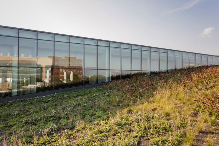Philadelphia Green Roof Embeds Charles Library Visitors in Nature