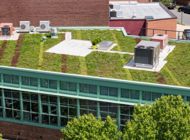 Top 5 Green Roof Benefits
